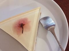 樱花芝士冻-MAISON门前杂货店
