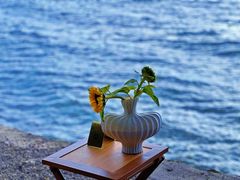 -抚仙湖禄充风景区