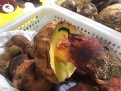 -菌之家·专业纯野生菌火锅·特色炒菌