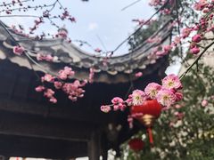 -老门东历史文化街区