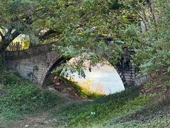 -广州市流溪河国家森林公园