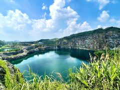 -黄埔油麻山森林公园