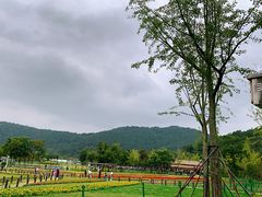 -上方山森林动物世界