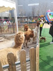 -萌宠亲子动物乐园(槐房万达店)