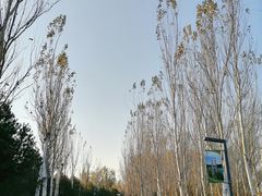 -东郊湿地公园