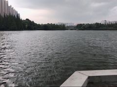 -南湖梦幻岛