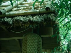 -大连植物园