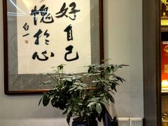 -枫林饺子