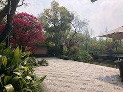 -杭州西子湖四季酒店-WL BISTRO西湖餐厅(灵隐路店)