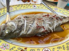 清蒸桂鱼-仿膳饭庄·宫廷风味(百年传承店)