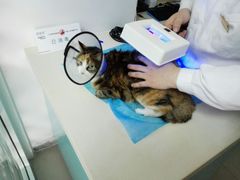 android_upload_pic-康乐宝动物医院