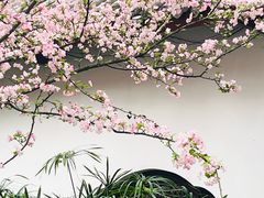 -棠湖公园
