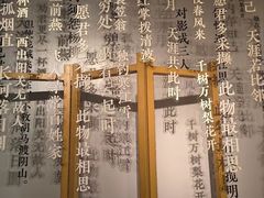 -轻烧烤肉(光谷步行街店)