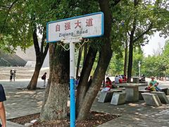 -武汉大学-樱园