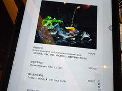 -富力威斯汀酒店-中国元素中餐厅(武昌临江店)