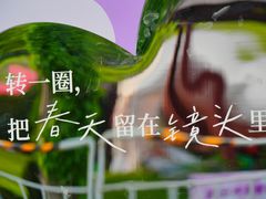 -嘉定紫藤园