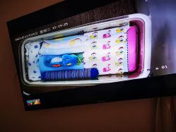 -海豚湾高端月子会所(黄浦店)