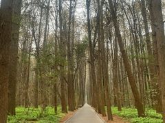 -同里国家湿地公园