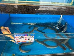 -华盛丰温州大排档(东三环南路店)