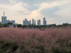 -映月湖公园