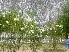 -天津自然博物馆