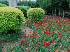 -长春公园(普阳街道)