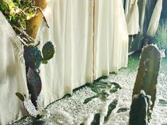 -ZooYoo佐佑咖啡(鼓楼店)