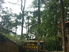 -云涛森林温泉