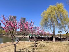 -西海子公园