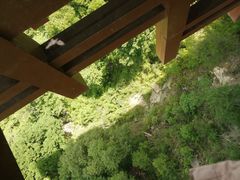 -少华山国家森林公园