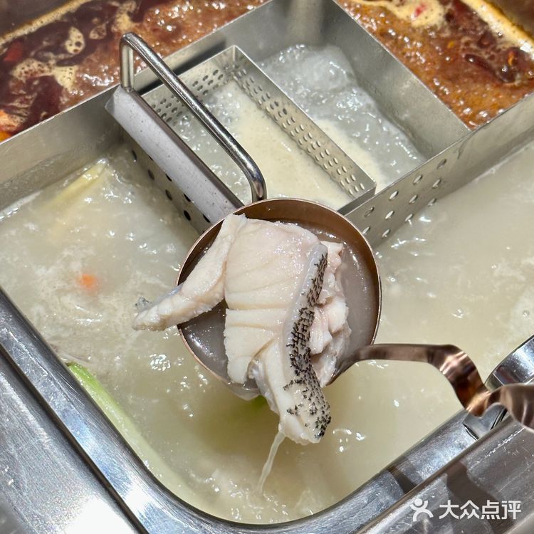 让我看看是谁还没喝上这奶白的鱼汤!