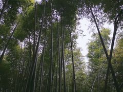 -会稽山峡洞漂流-上青古道