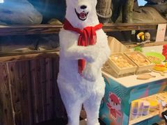 -杭州开元森泊度假乐园