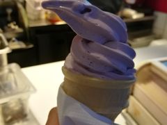 黑加仑接骨木花口味圆筒冰淇淋-麦当劳(东急新天地店)