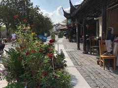 -三林塘老街