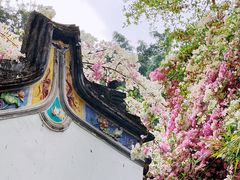 -深圳国际园林花卉博览园