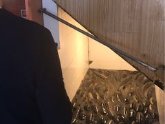 -龙继斑鱼庄(犀浦店)