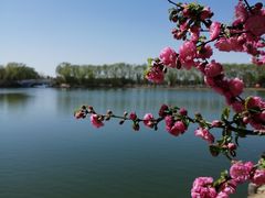 -大兴滨河森林公园