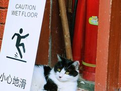 -萤火虫咖啡(后海店)