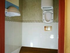 -金山农民画村-枫泾波兰倒置屋