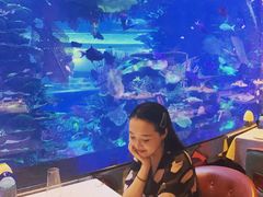 -迪拜帆船酒店海底餐厅