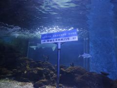 -常州海昌海洋探索馆
