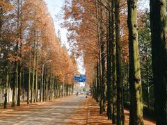 -都江堰普照寺
