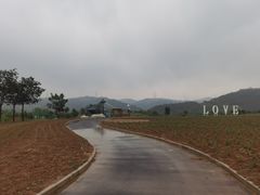 -薰衣草NE庄园