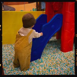 点击看大图 -会飞的哈林(仟星之城店)