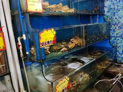 水产区-蚝专家(北滘店)