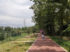 -桤木河湿地公园