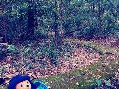 android_upload_pic-广州市石门国家森林公园