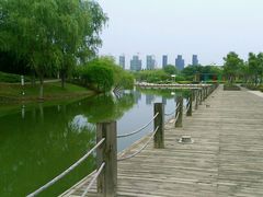 环境-白塘生态植物园