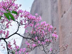 -太姥山风景名胜区